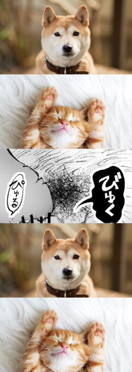 🐍これからドラゴン🐉 tweet media