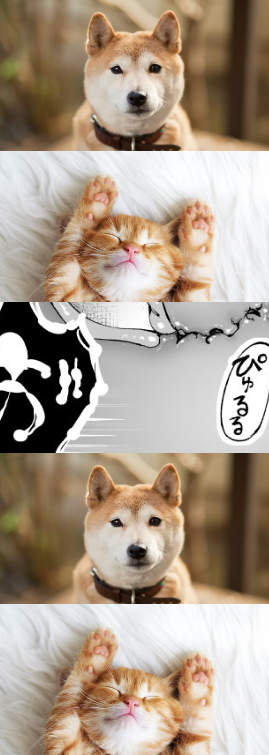 🐍これからドラゴン🐉 tweet media