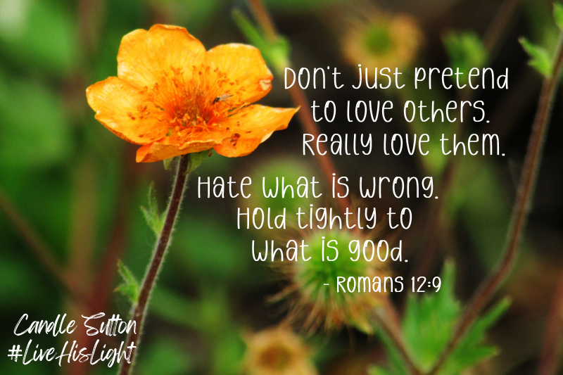 Candle Sutton tweet media