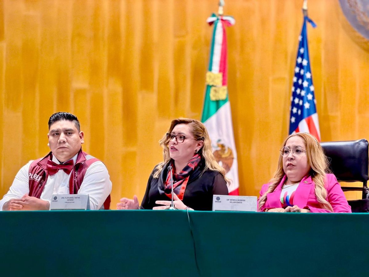 IEEM_MX's tweet photo. La Consejera @Angeli_Vieyra  representó al IEEM en el foro: "Acciones Afirmativas, camino a la reforma electoral" de la @Mx_Diputados. En su participación analizó los retos de las personas con discapacidad para lograr un ejercicio pleno de sus derechos políticos, desde lo local. https://t.co/dpVezWj7KO