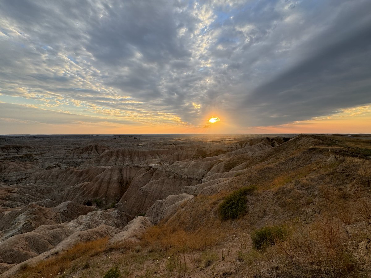 D Miller tweet media