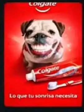 Nosequenombreponer:v tweet media