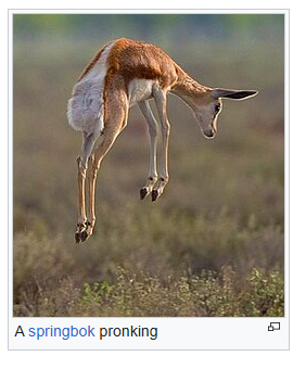 colon3 😼🇮🇪 tweet media