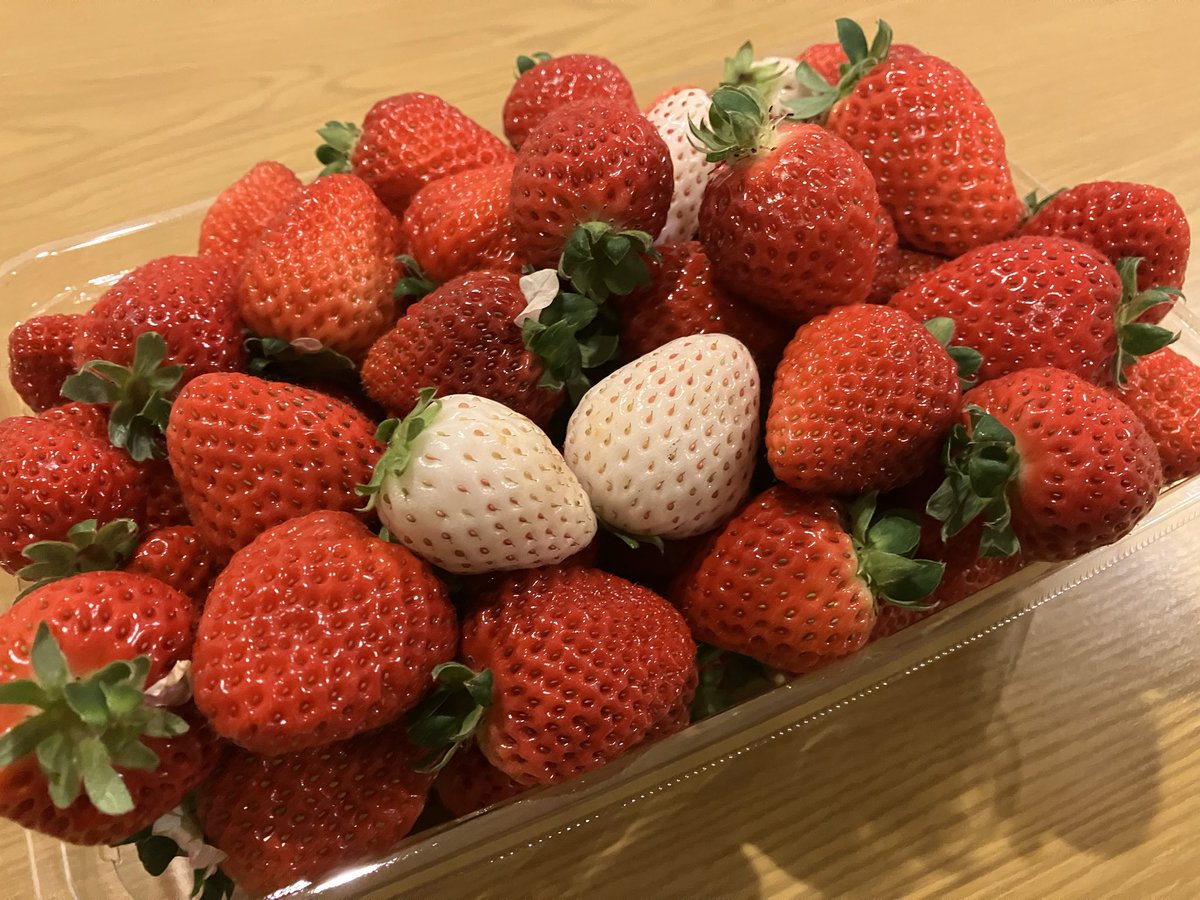 贅沢な】🍓 おはようございます😃 2月も終盤、先日今季3度目の「いちご