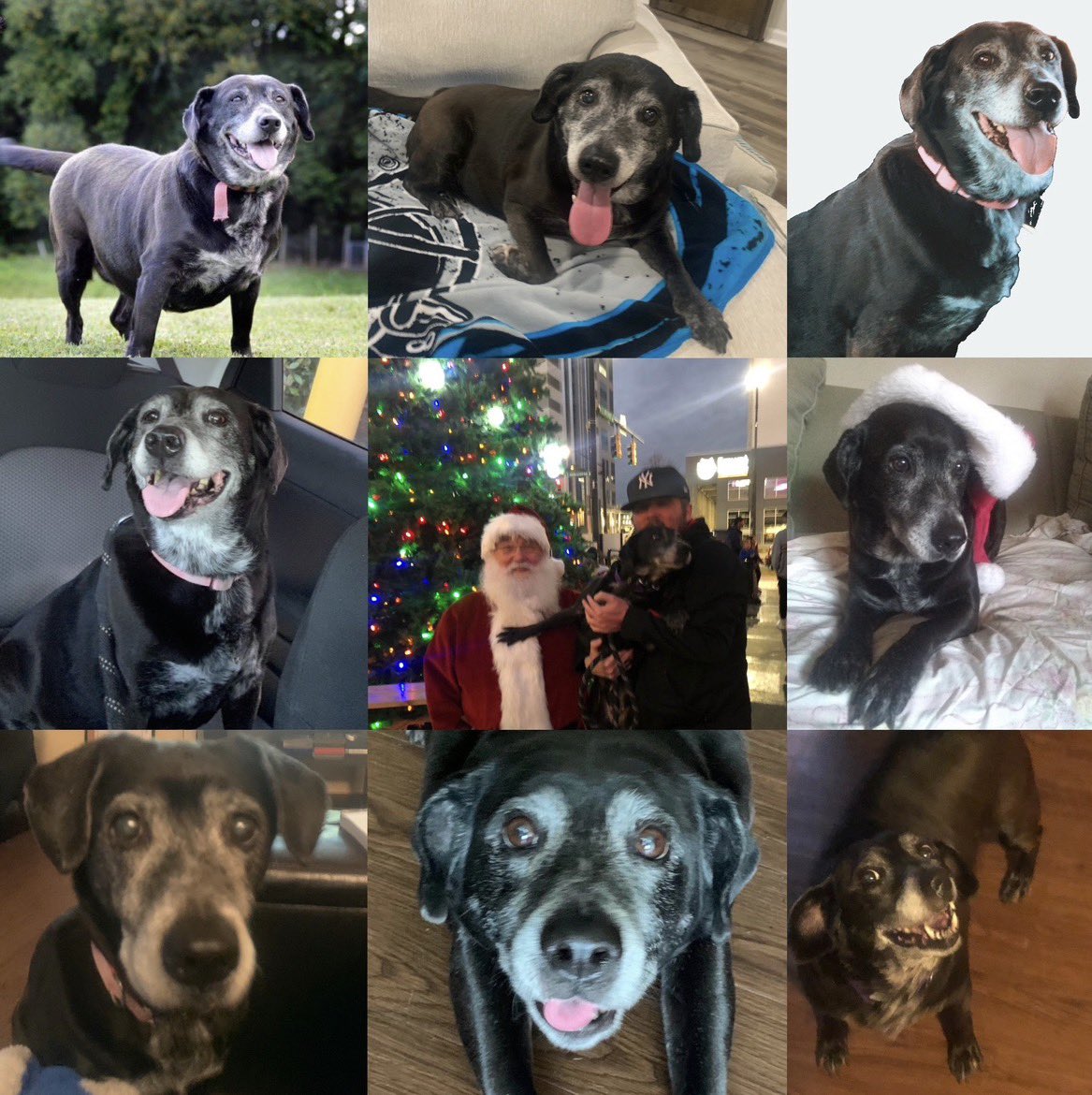 Travis Hancock tweet media