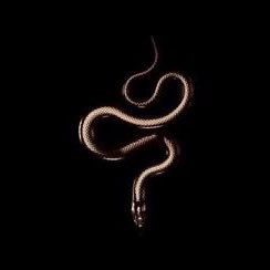 ┈─ 𝙿𝙻𝗔𝚈𝙸𝙽𝙶 𝙳𝙴𝗔𝙳 tweet media