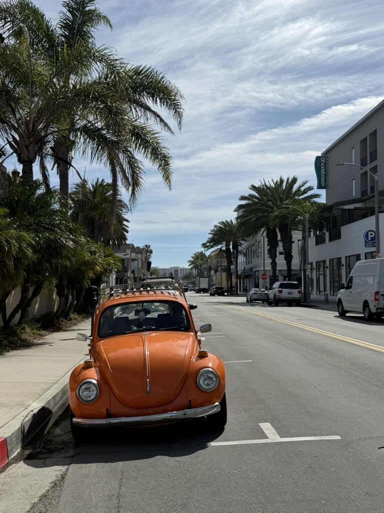 ImASurferDude tweet media