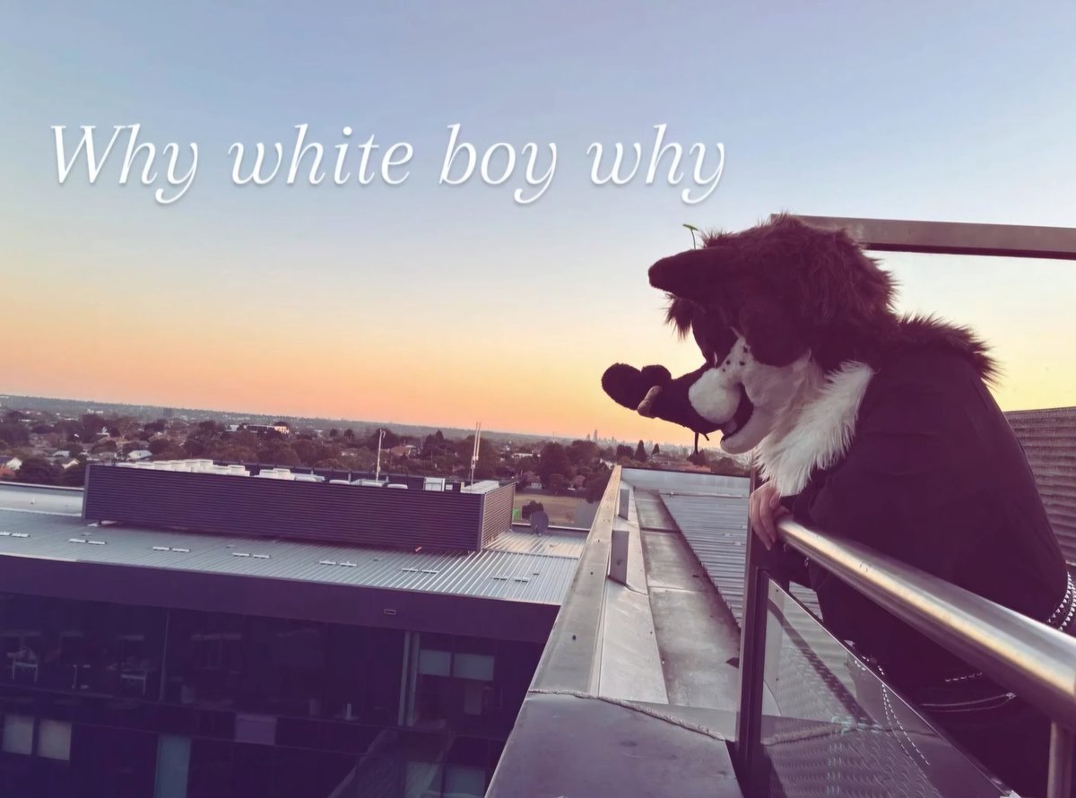why white boy why...