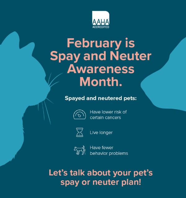 NMBewitched's tweet photo. #WorldSpayNeuterDay
For a purely selfish reason from every #Networker #Rescue & #Shelter
We are heart broken over the loss of life💔
Please be responsible
Spay/neuter your pets
#AdoptDontShop https://t.co/19wVSeE7Ty