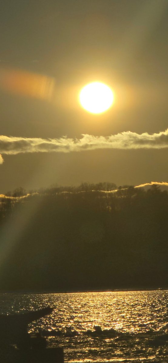 Charlotte Mandell (@avecsesdoigts) on Twitter photo 