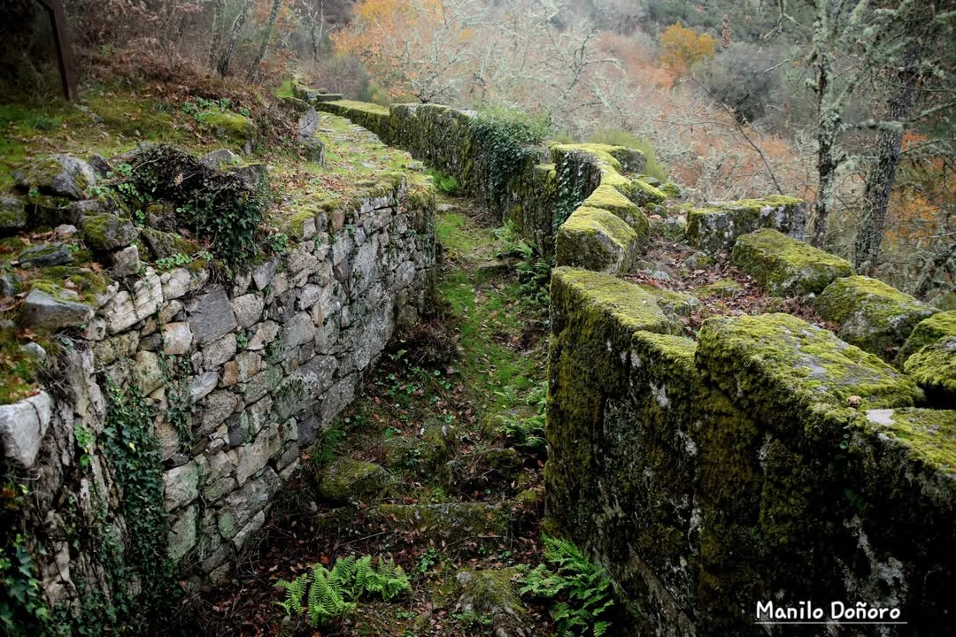 Vía Lethes tweet media