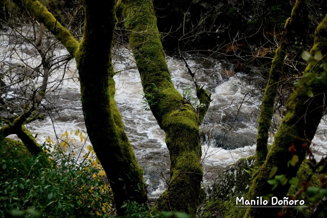 Vía Lethes tweet media
