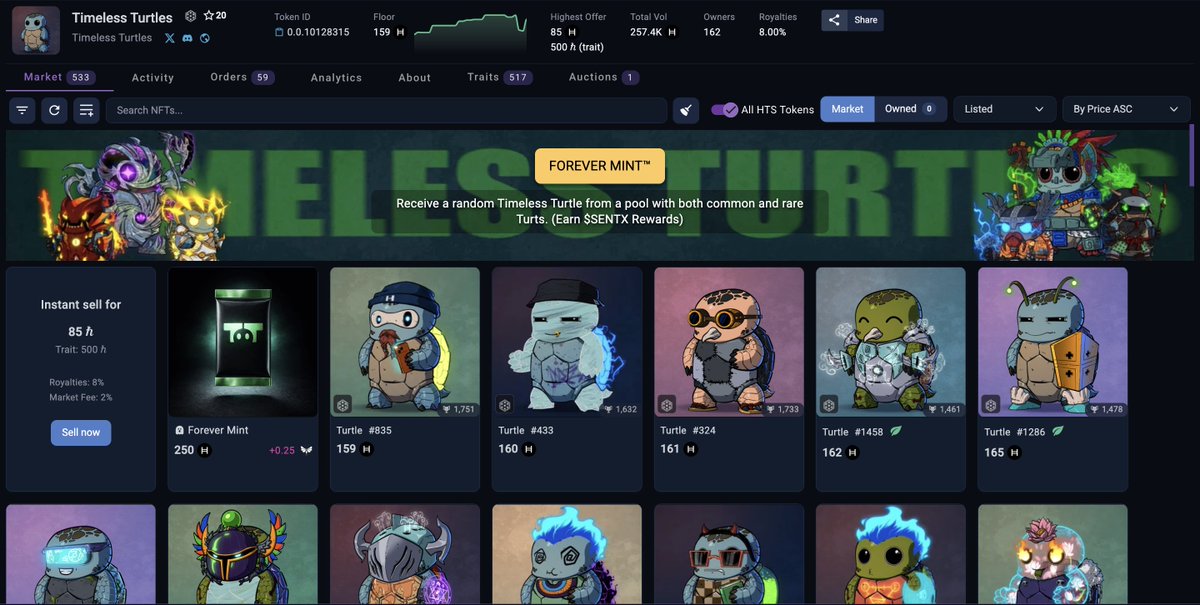 Timeless Turtles tweet media