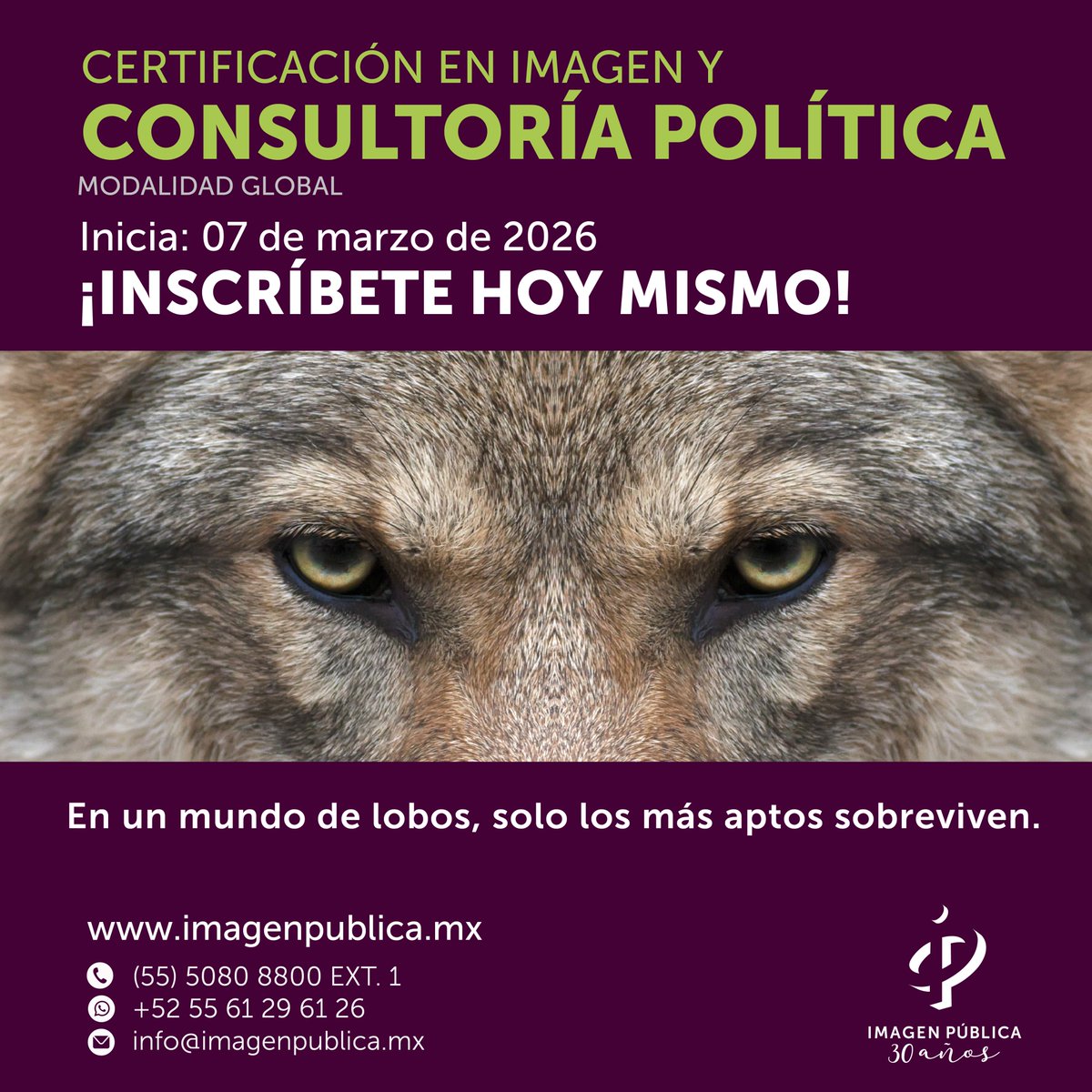 Con nuestra Certificación en Imagen y Consultoría Política, aprenderás a cambiar el rumbo y la percepción de candidatos y partidos, asegurando su éxito en las urnas. ¡Inscríbete! bit.ly/CIPcipo