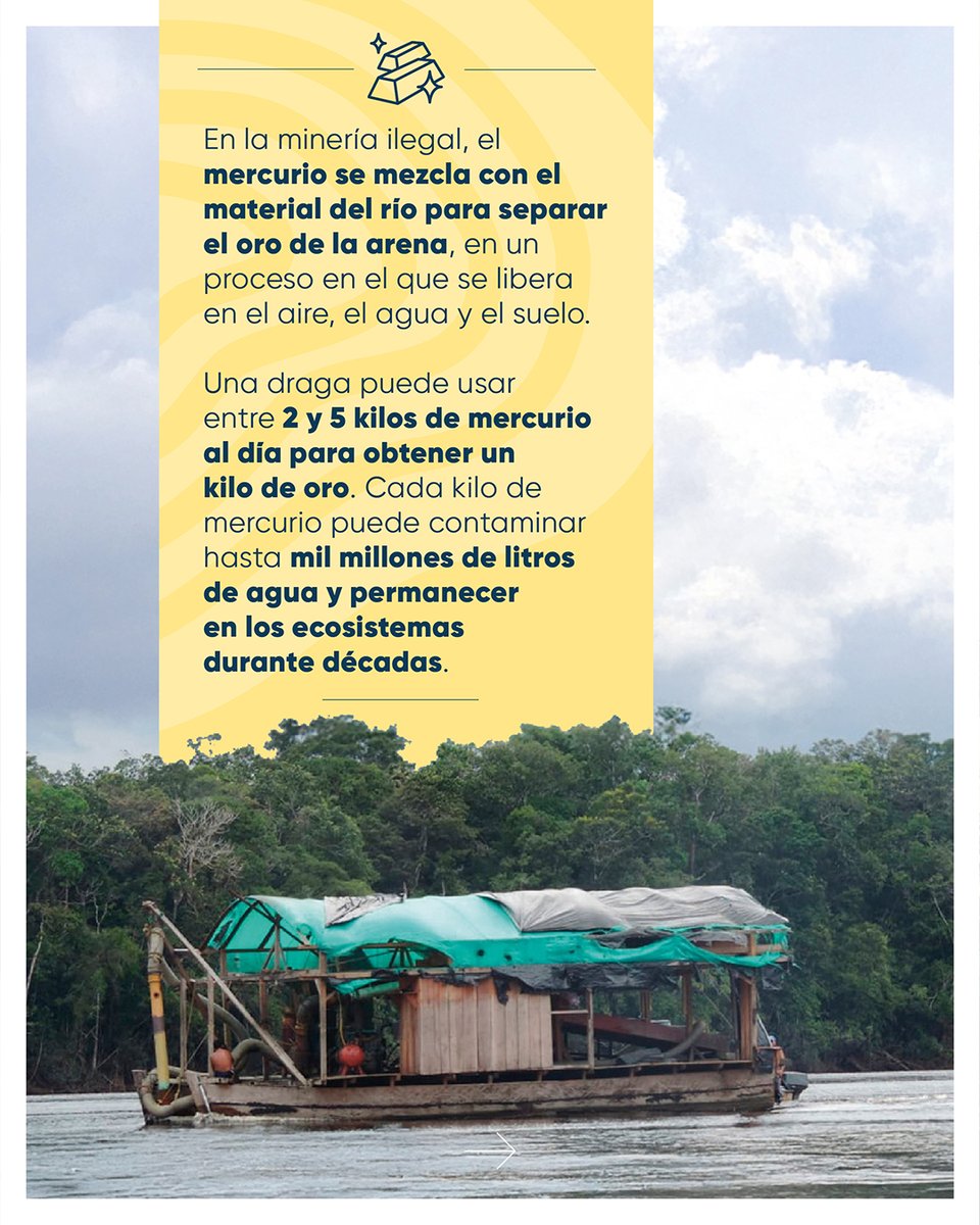 Fundación para la Conservación y el Desarrollo tweet media