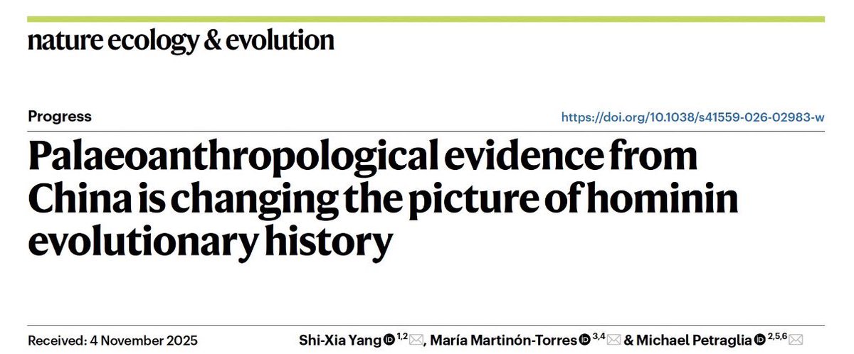 Michael Petraglia tweet media