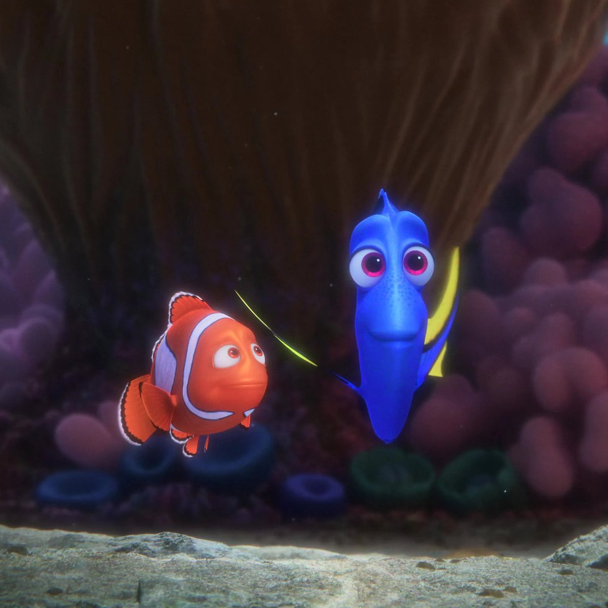 DTVANews's tweet image. Andrew Stanton on a potential third "FINDING NEMO" movie.

"I'm all for a great idea, but it won't be me. I don't have as much time left on the planet as the rest of you."

reddit.com/r/movies/comme…

#FindingNemo #FindingDory