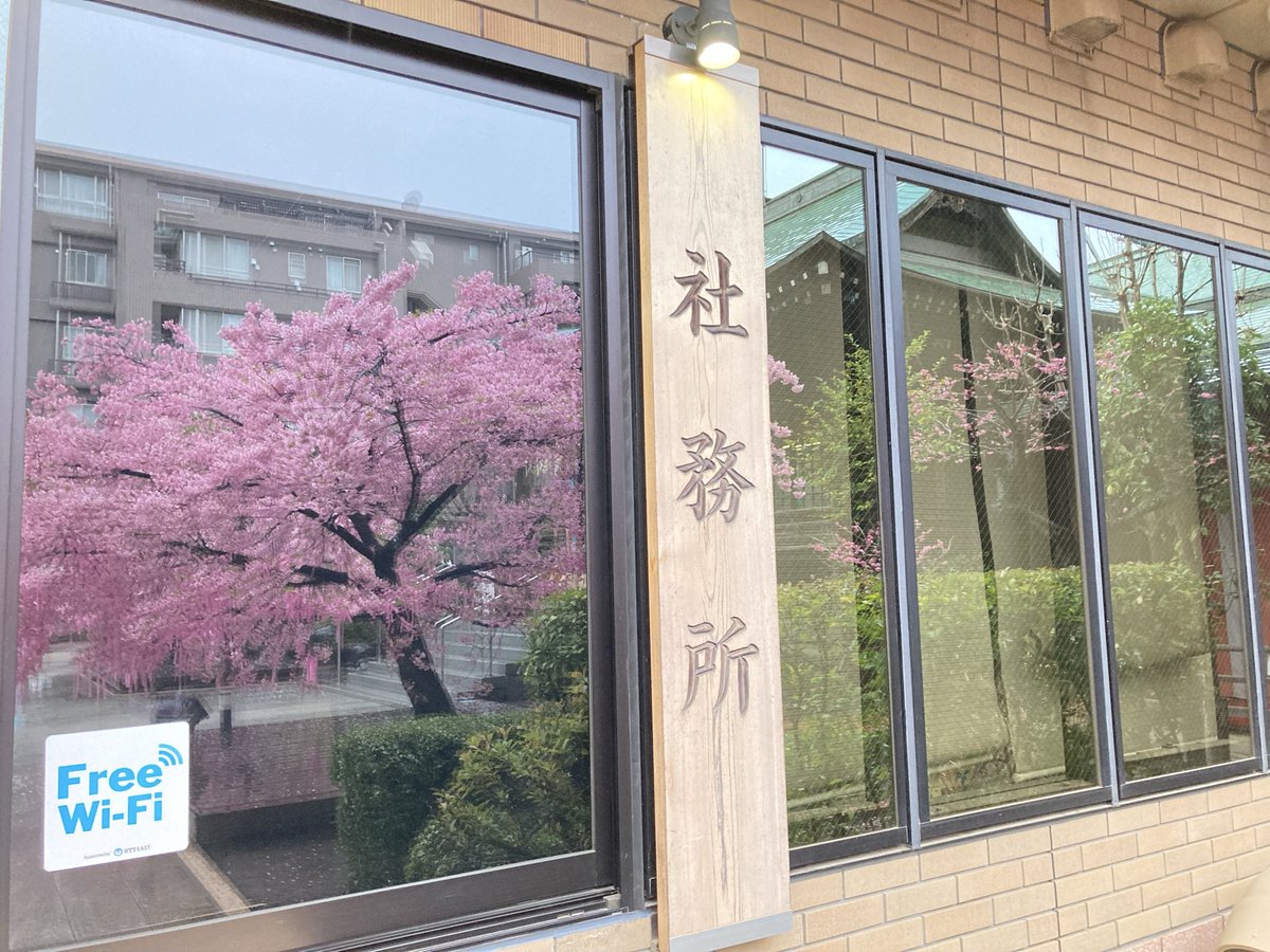 おはようございます☔️ 今朝の桜神宮さま この時期は朝6時台でも