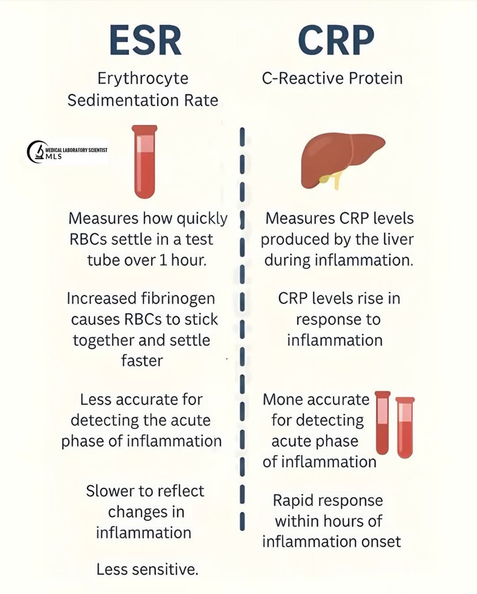 ALI ALKHALIFAH |:| عـلـي الخـليـفـة tweet media