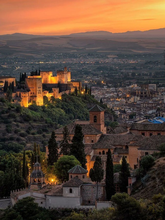 ARMANDO CARRI11O tweet media