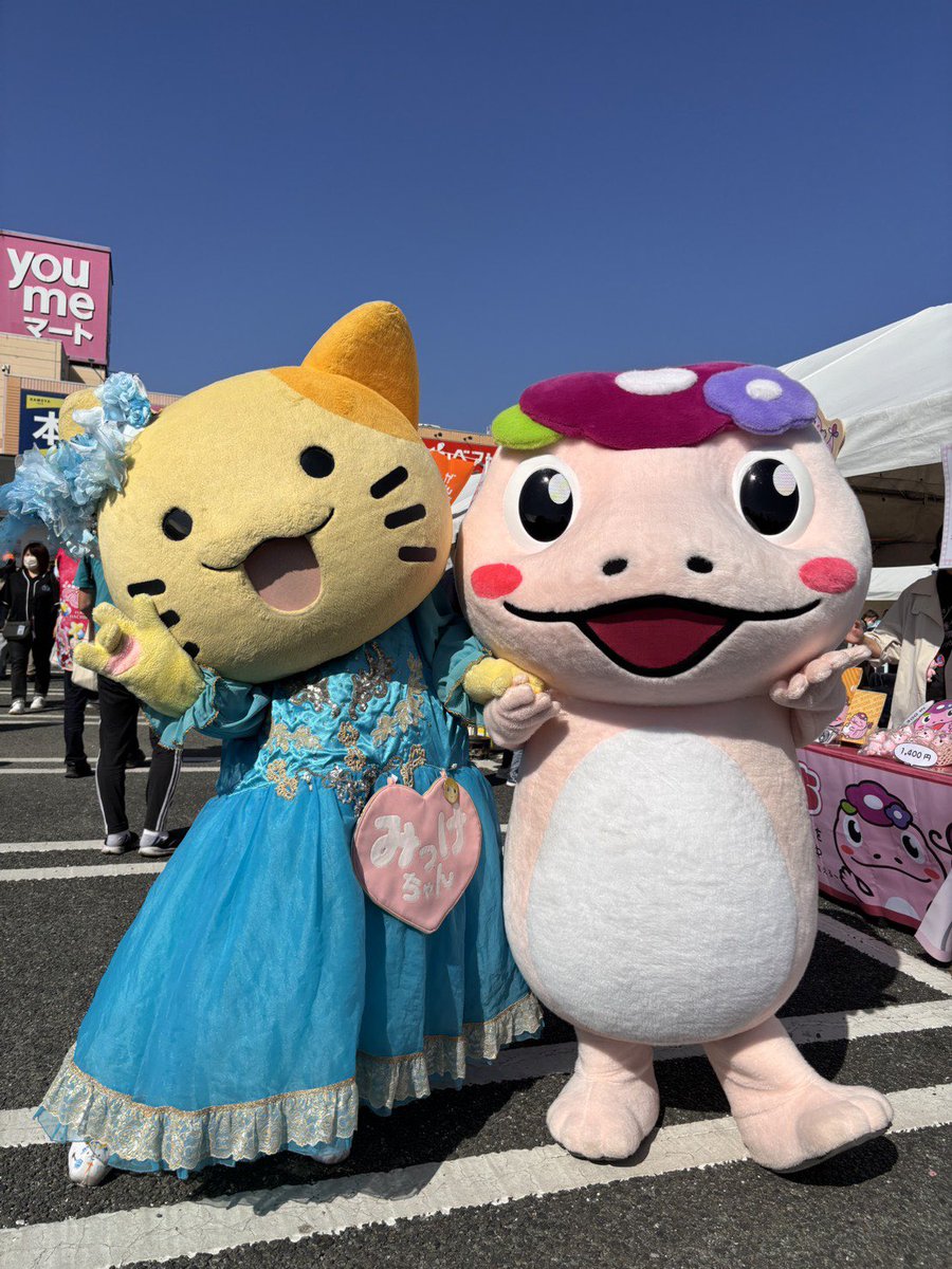 みっけちゃん™️【公式】💙💛🤟🏳️‍🌈大阪府枚方市PR大使 (@mikkeichi