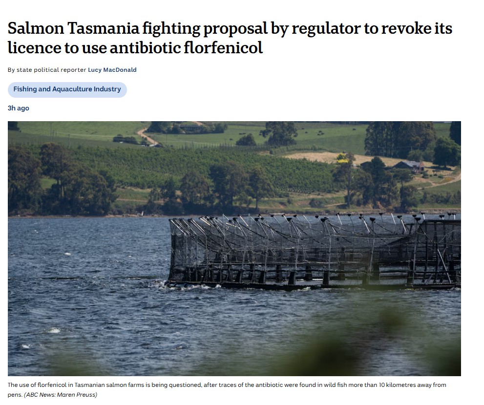 Labor PM Albanese's favorite environmental disaster is now unable to produce product without poisoning Tasmanian Waters.
Labor gave this destructive dirty industry $37M to pump pig Anti-biotics into the Tassy ocean, poisoning millions of fish so foreigner can profit.
#Salmon