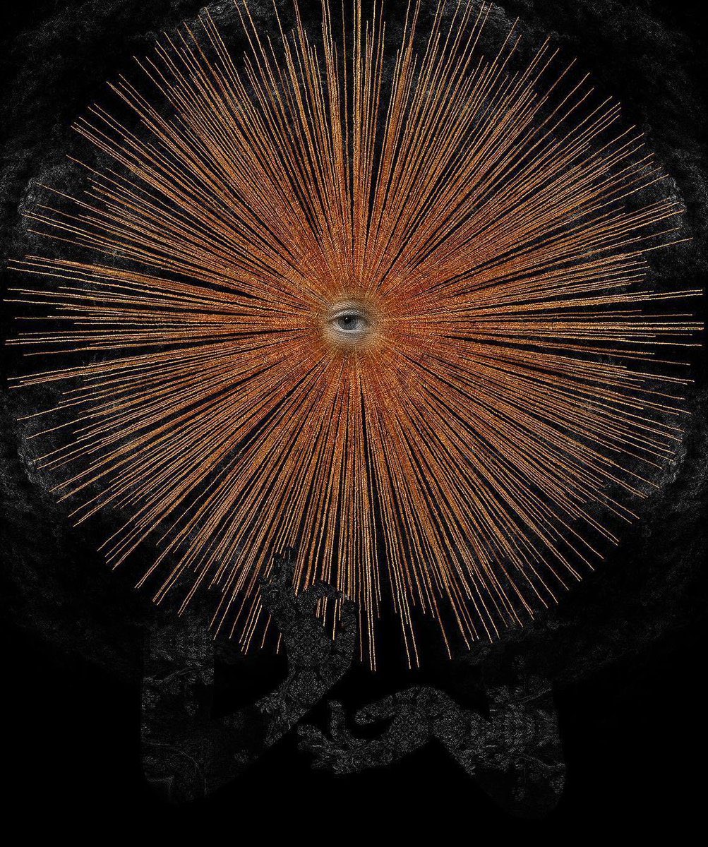 A universe without a conscious observer is indistinguishable from no universe at all.