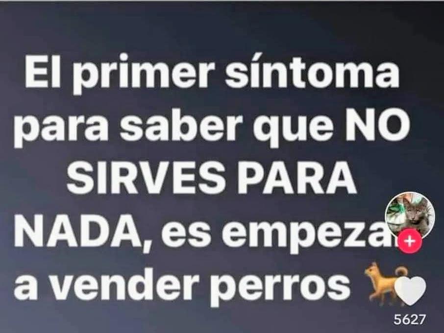 Son seres vivos no mercancía 😡