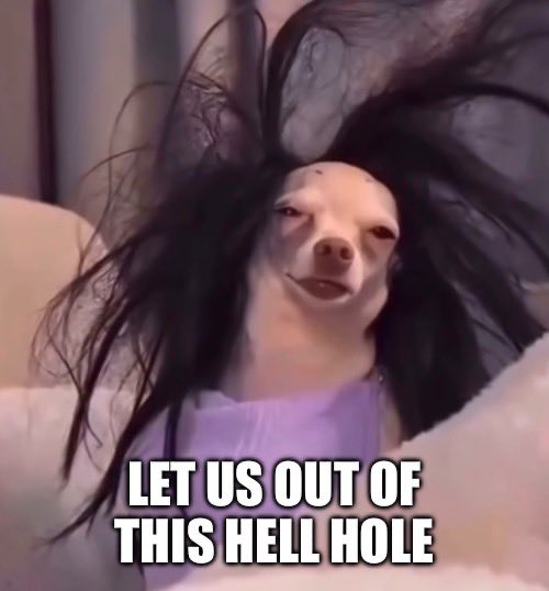 thank you for not ending this sooner <a href="/ryancohen/">Ryan Cohen</a> 

we’re having more fun each day that passes by