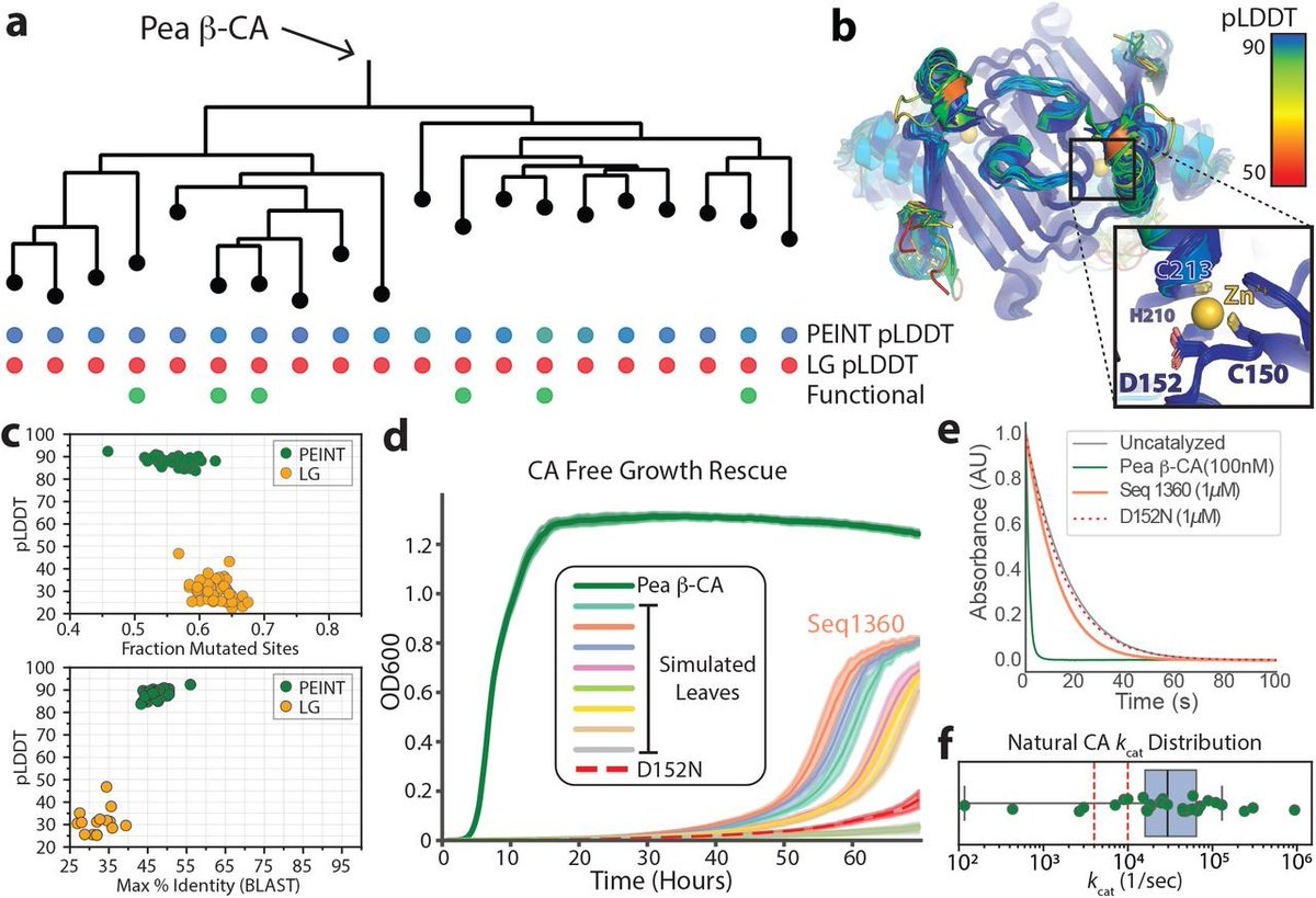 Kevin K. Yang 楊凱筌 tweet media