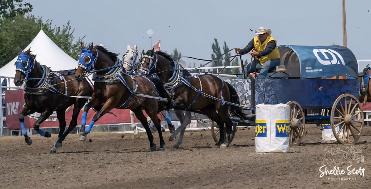 WPCA Chucks tweet media