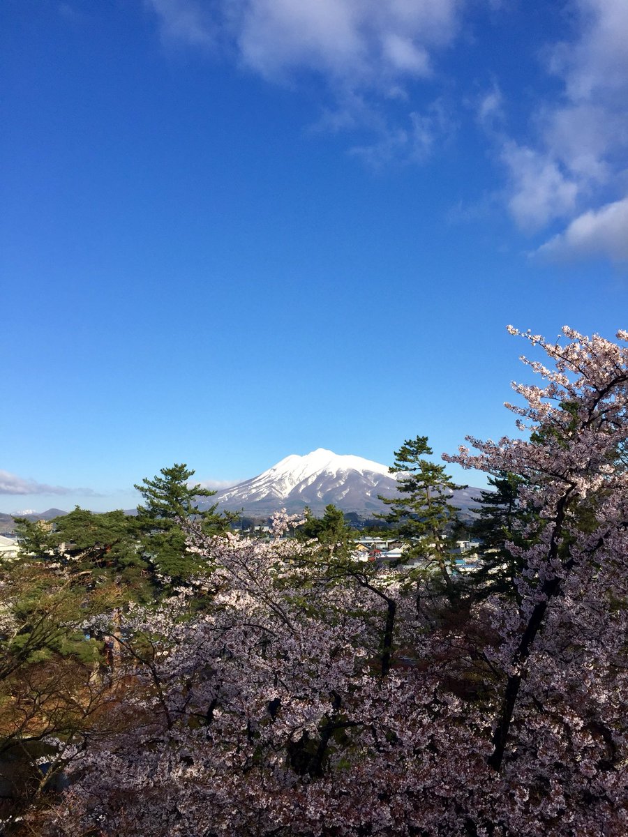 Syedo_Zard's tweet photo. @KenKenPhoto お見かけして思わず、季節リレーしたくなりました。
昔の写真ですが、弘前城と桜を携えた岩木山も美しいので、お納めください。 https://t.co/AYu9o1qkbT