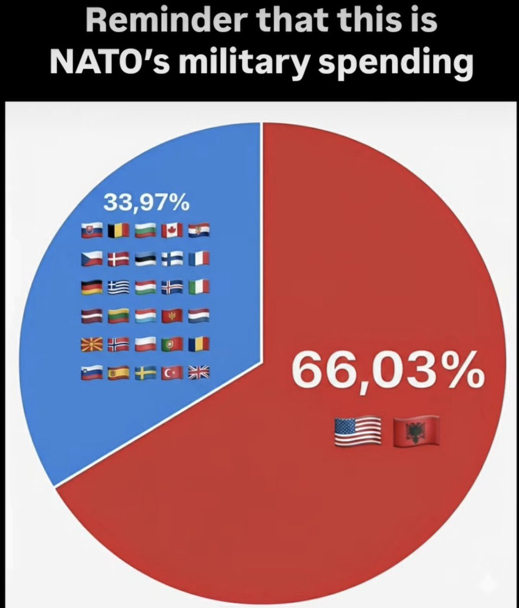 Rothmus 🏴 tweet media