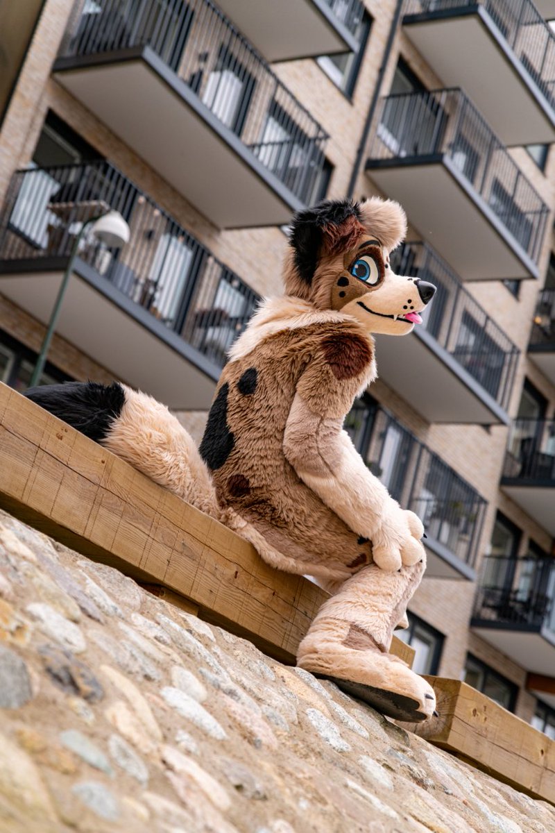 Pinsel, The 📸 Lynx tweet media