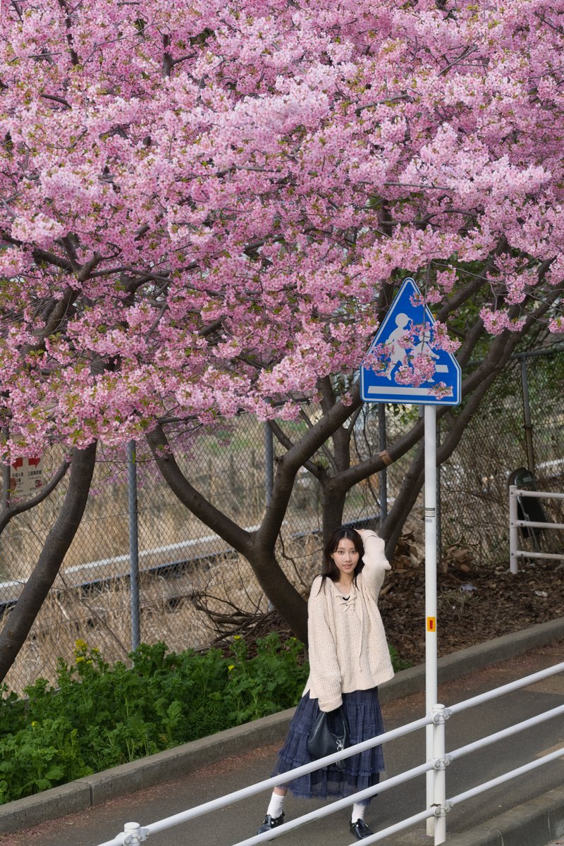 すず (@PHOTOMO_SUZU) / Posts / X