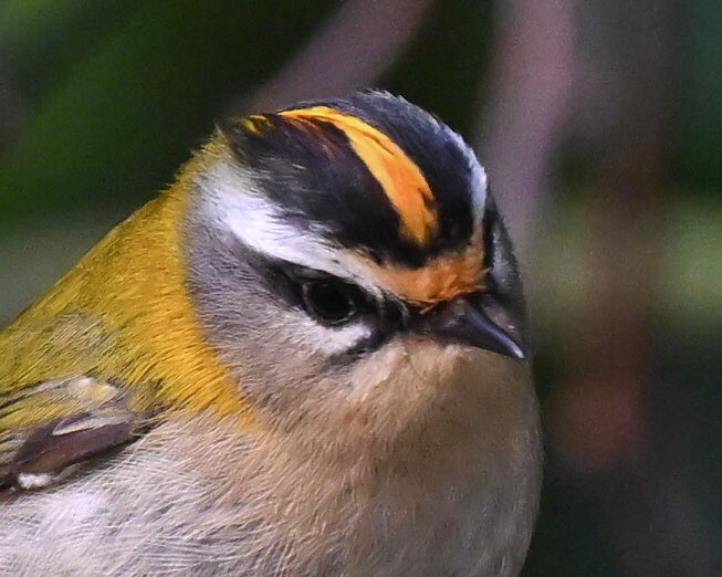 David Rouse 🍃💚🍃 tweet media