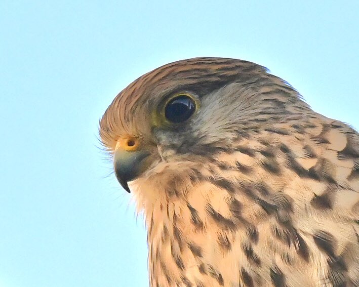 David Rouse 🍃💚🍃 tweet media