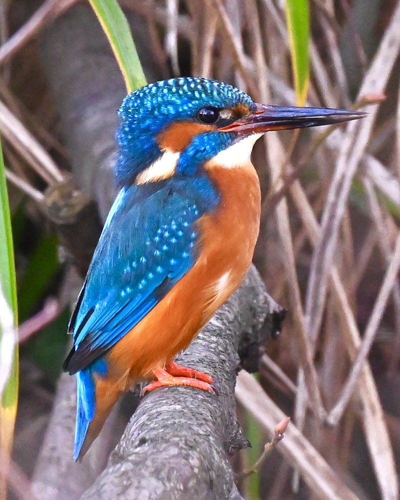 David Rouse 🍃💚🍃 tweet media