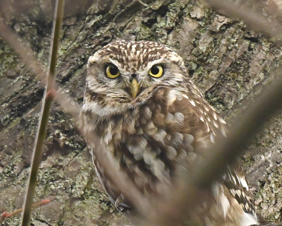 David Rouse 🍃💚🍃 tweet media