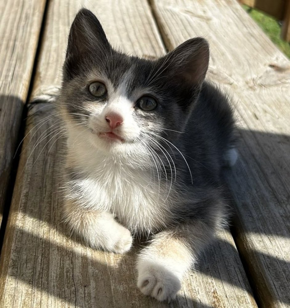 ohhhhh my god my shayla