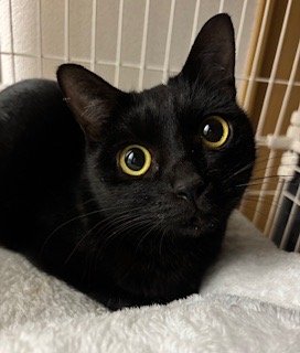 2才になるおとめです。