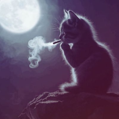 the day is my enemy.... the night my friend...