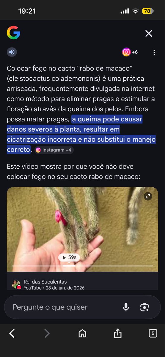 aisesis's tweet photo. @abymaelx Era pra eu ter anexado esse print mas como eu to ch4p4d4 eu esqueci https://t.co/mjYbKCPvoh