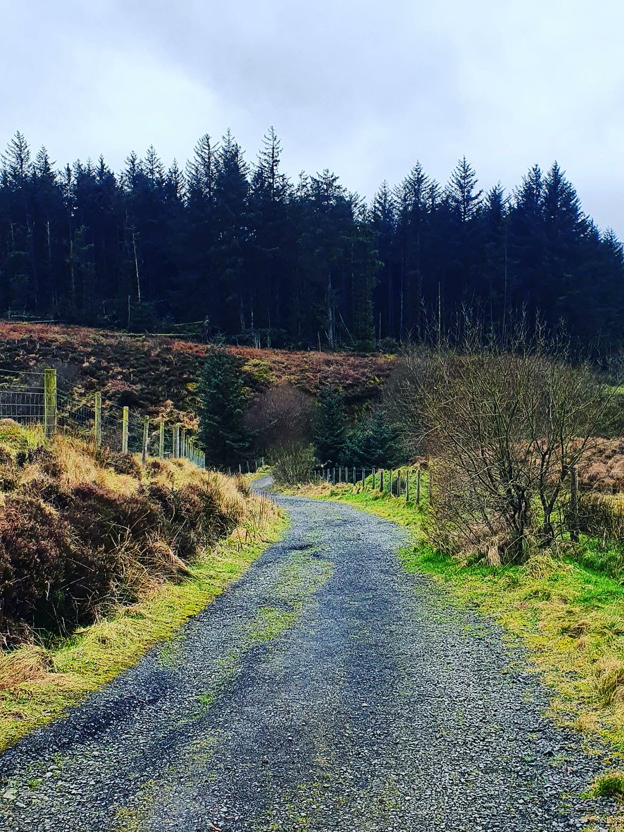 PP 🐼🍀📸🍃 tweet media