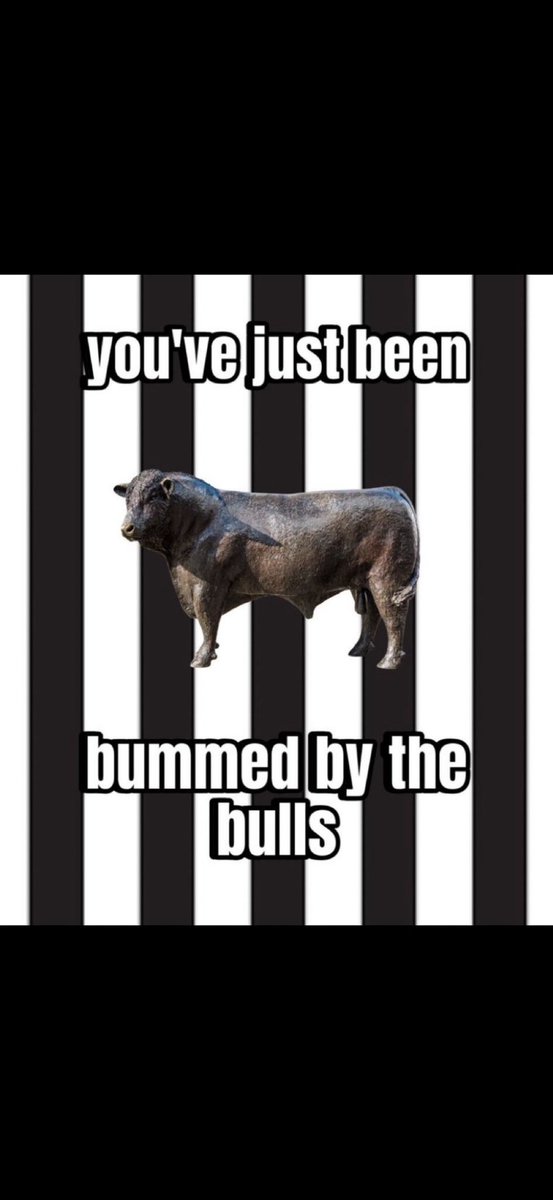 Bullys Corner 🐮 tweet media