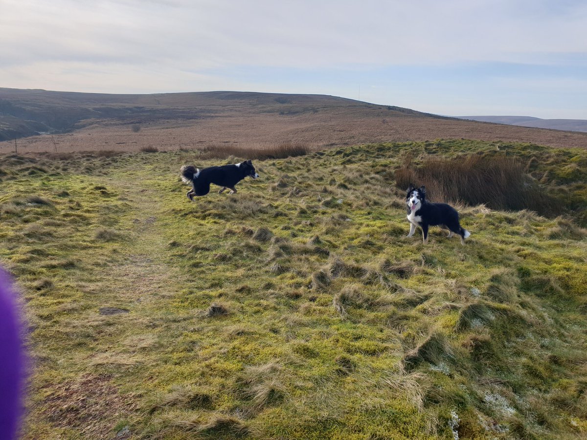 Carly Edwards tweet media