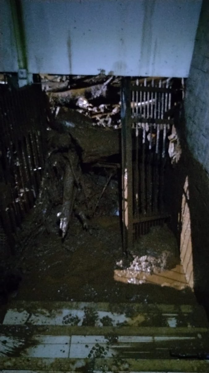 AliQuintiliano's tweet photo. Oi pessoal, sei que é fim de mês porém um amigo mora em Juiz de Fora, em Minas Gerais,  Onde um temporal devastador já deixou 16 mortos e 440 pessoas desabrigadas, forçando a prefeitura a decretar estado de calamidade pública. Ele perdeu tudo, mas graças https://t.co/F02h6wtcCD