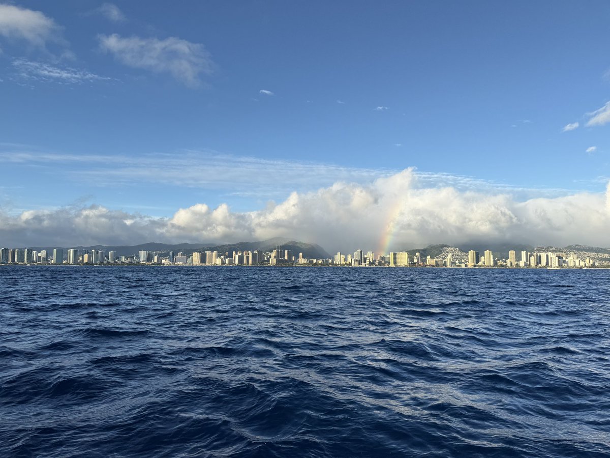 thebettingqueen tweet media