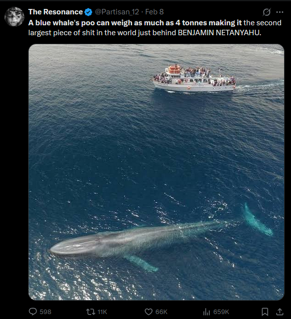 Acooless 🇲🇩 tweet media