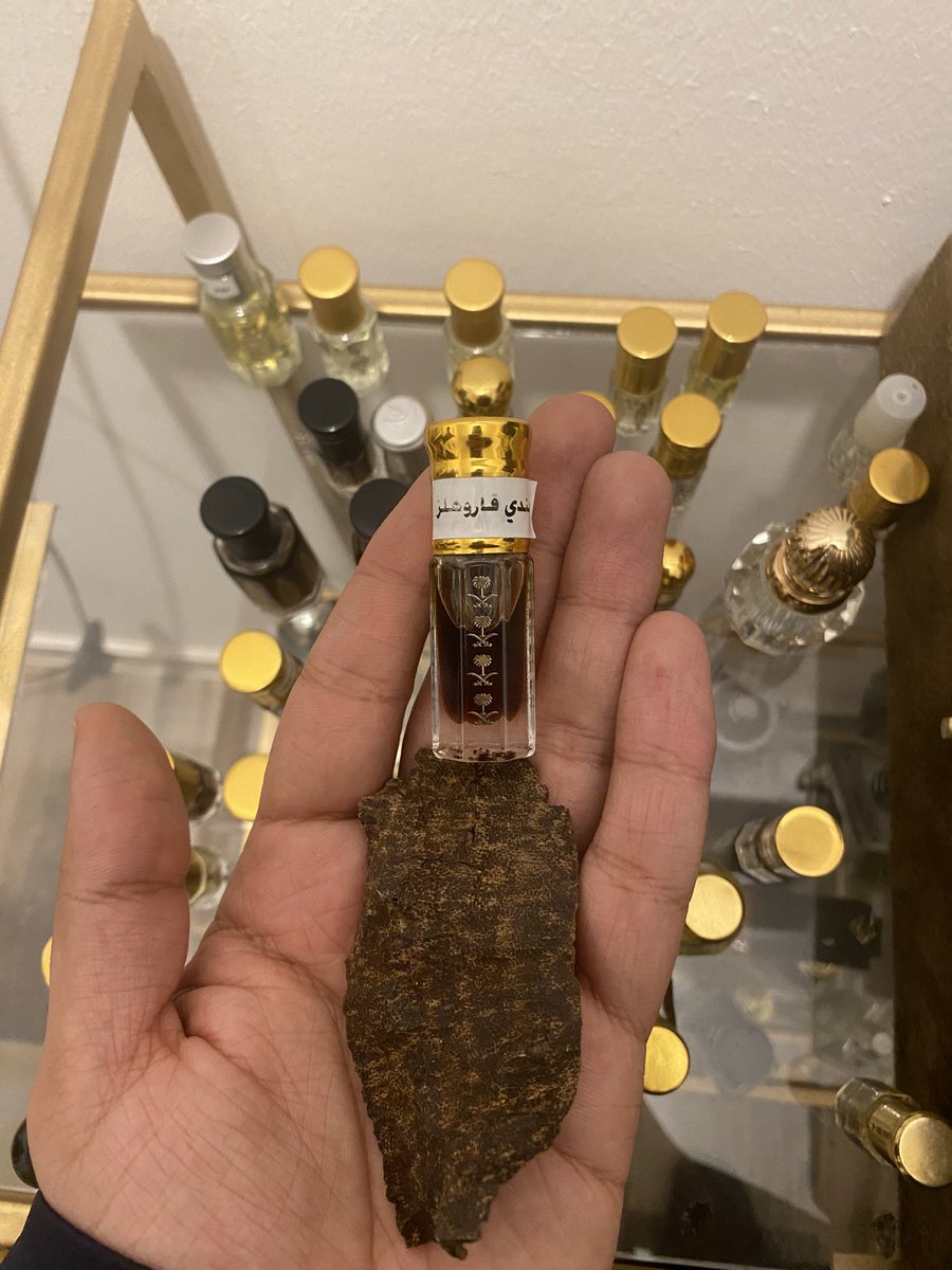 جربت من أدهان العود الكثير 
وجرب من خشب العود الكثير
ولله الحمد

لكن والله مافي زي دهن الجاروهلز الهندي
ولافي زي التشار الهندي الجاروهلز

والسر في غابة " جاروهلز " 

رائحة شيوخ وكفى